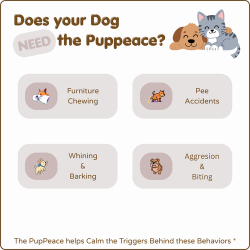 Dogs Calming Diffuser Kit