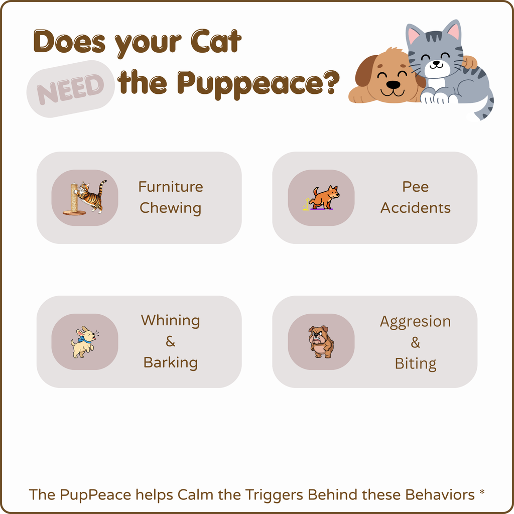 Cats Calming Diffuser Kit