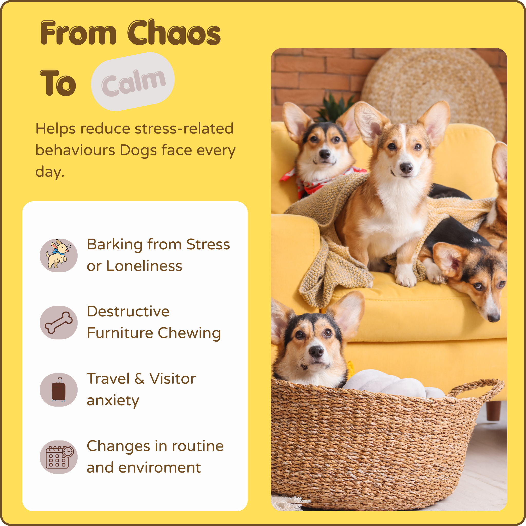 Dogs Calming Diffuser Kit