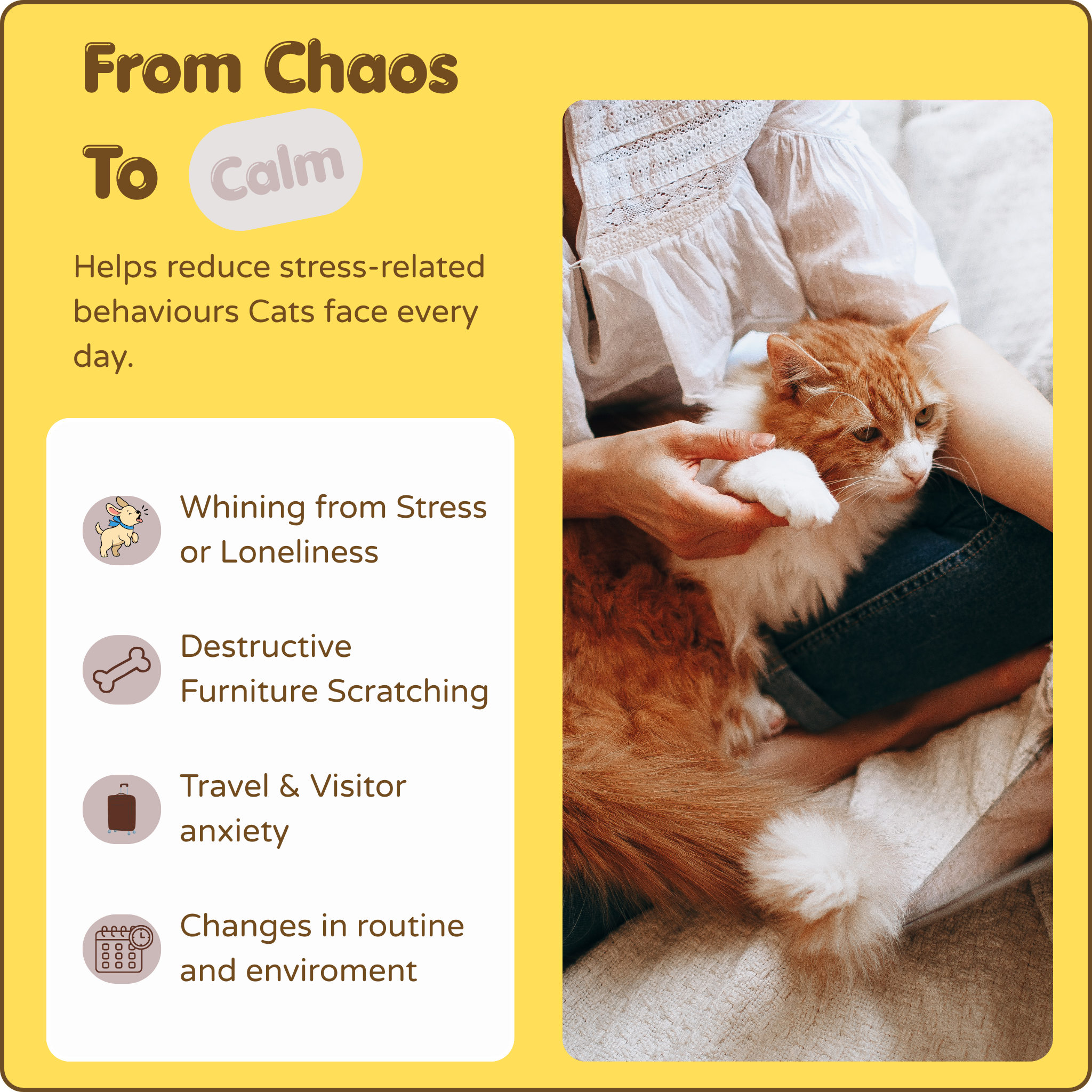 Cats Calming Diffuser Kit