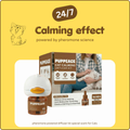 Cats Calming Diffuser Kit
